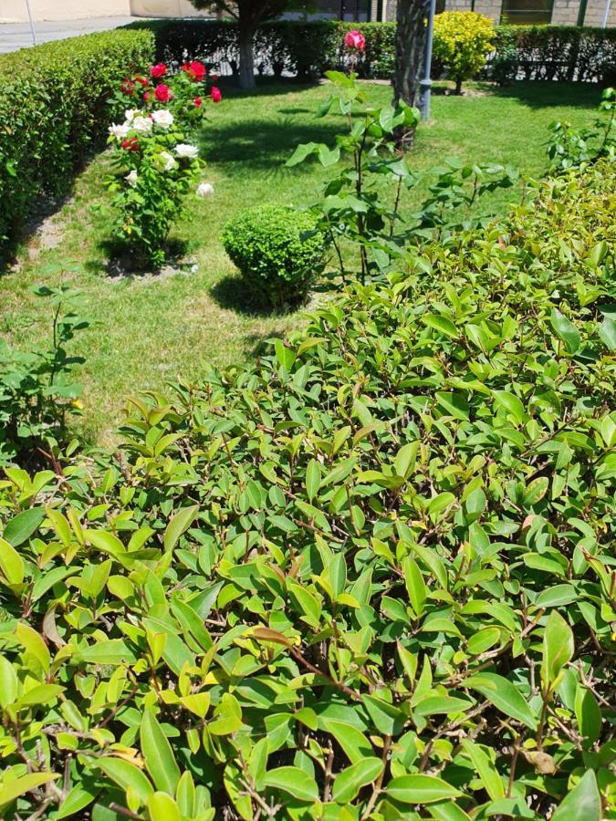 Sheki Avtovagzal Motel Bagian luar foto